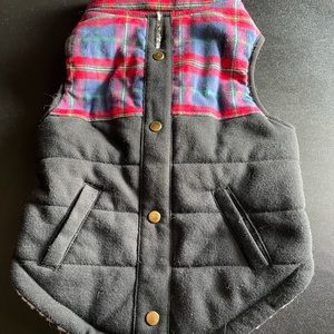 Dog Vest